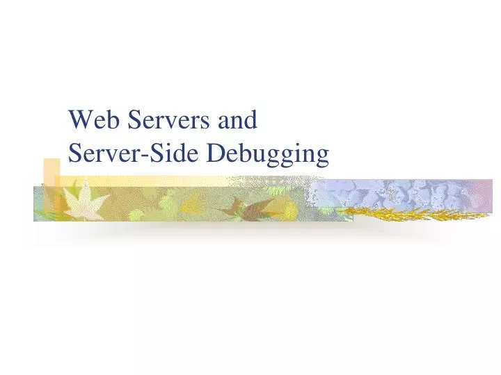 web servers and server side debugging