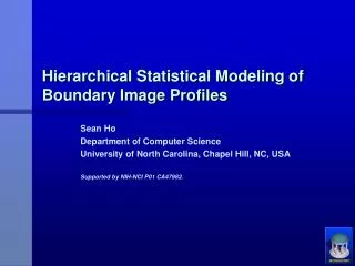 Hierarchical Statistical Modeling of Boundary Image Profiles