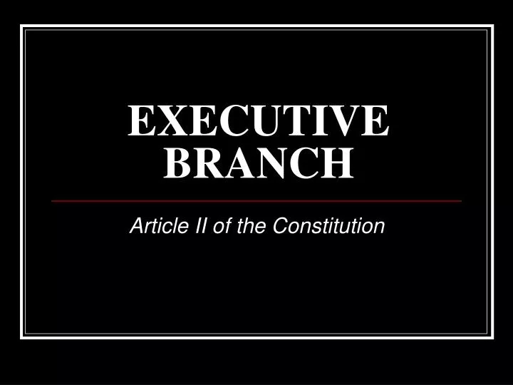 executive branch