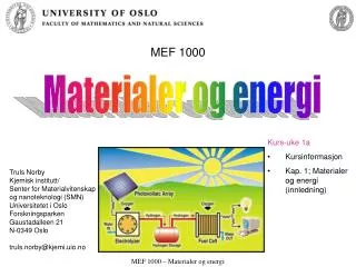 mef 1000