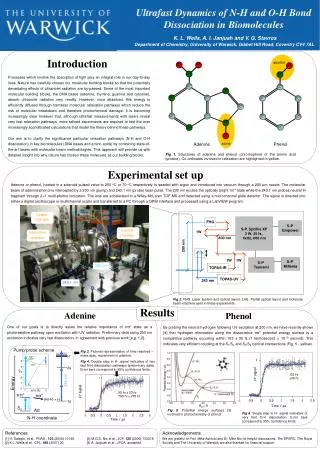 Adenine