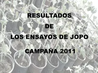 RESULTADOS DE LOS ENSAYOS DE JOPO CAMPAÑA 2011