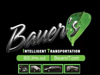 About Bauer’s