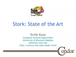 Stork: State of the Art