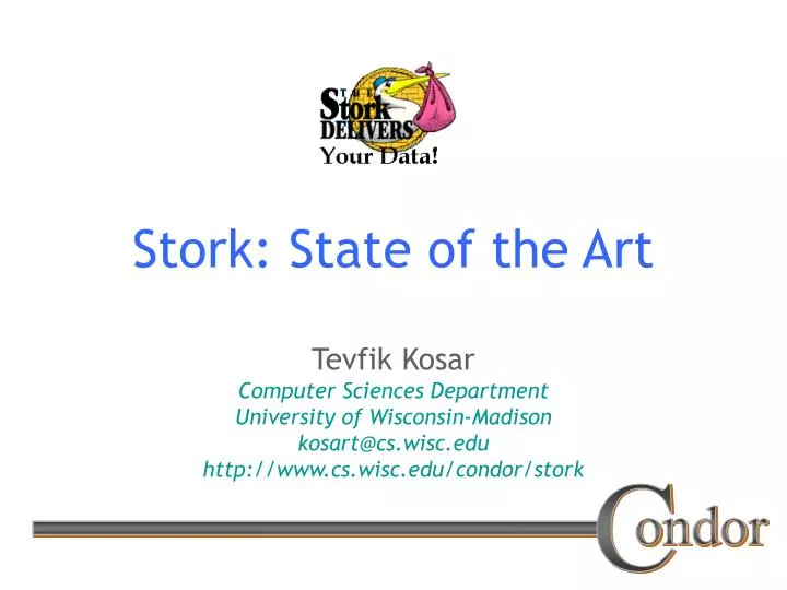 stork state of the art