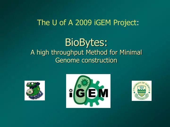 biobytes a high throughput method for minimal genome construction