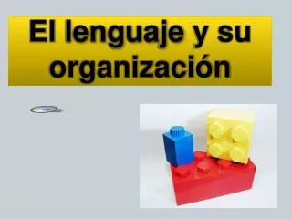 El lenguaje y su organización