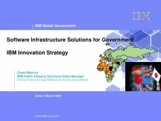 Software Infrastructure Solutions for Government IBM Innovation Strategy
