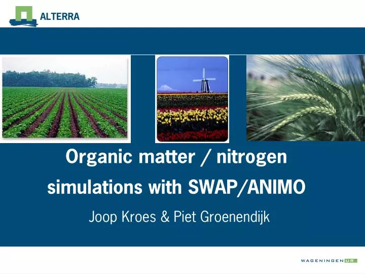organic matter nitrogen simulations with swap animo