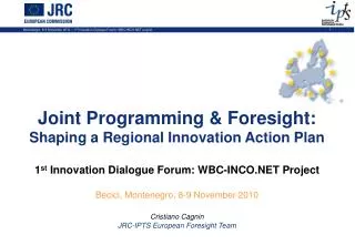 Joint Programming &amp; Foresight: Shaping a Regional Innovation Action Plan