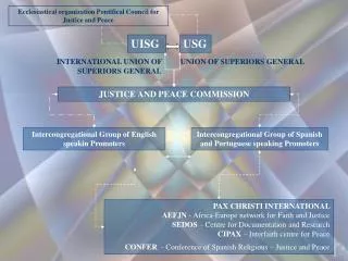 Ecclesiastical organization Pontifical Council for Justice and Peace