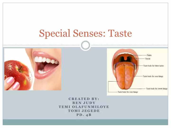 special senses taste