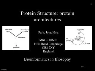 Protein Structure: protein architectures