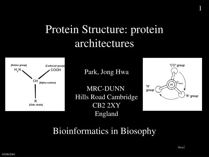 protein structure protein architectures