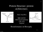 Protein Structure: protein architectures - slide 1