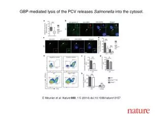 E Meunier et al. Nature 000 , 1 - 5 (201 4 ) doi:10.1038/nature 13157