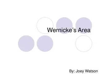 Wernicke’s Area