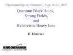 Exploring the Connection Between Quantum Black Holes and Relativistic Heavy Ion Collisions - slide 1