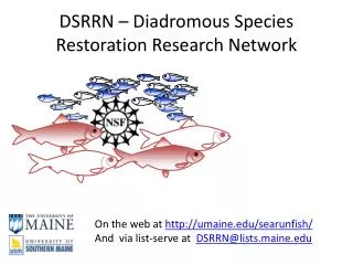 DSRRN – Diadromous Species Restoration Research Network