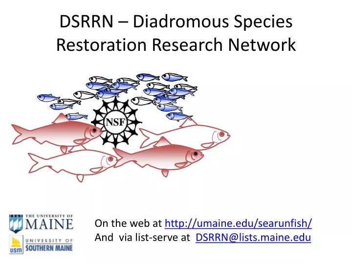 dsrrn diadromous species restoration research network