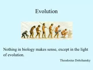 evolution
