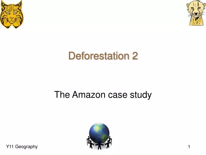 deforestation 2