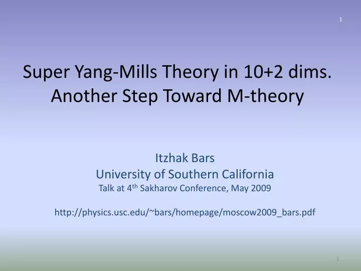 super yang mills theory in 10 2 dims another step toward m theory