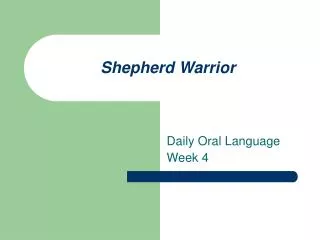 Shepherd Warrior