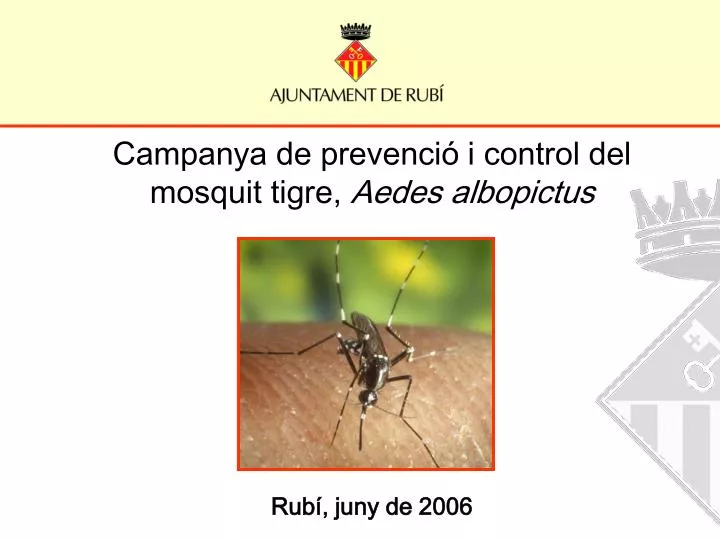 campanya de prevenci i control del mosquit tigre aedes albopictus rub juny de 2006