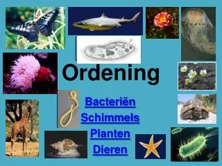 ordening