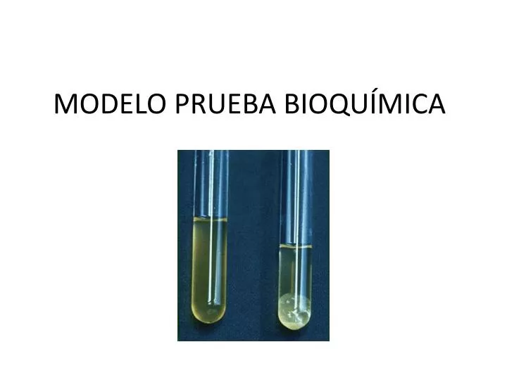 modelo prueba bioqu mica