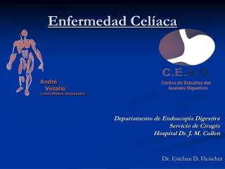 enfermedad cel aca