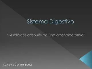 sistema digestivo