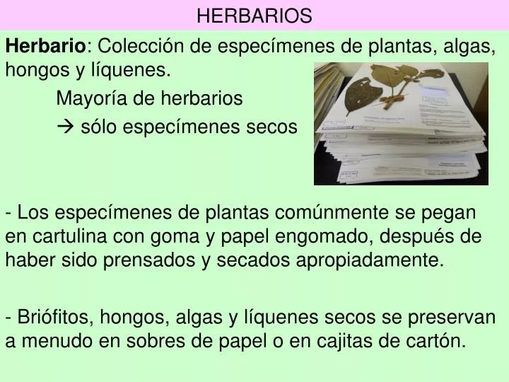 herbarios