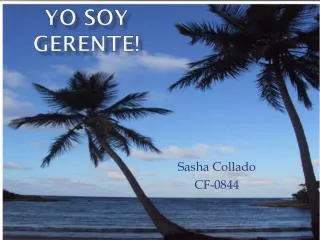yo soy gerente