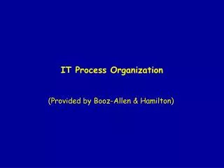 IT Process Organization