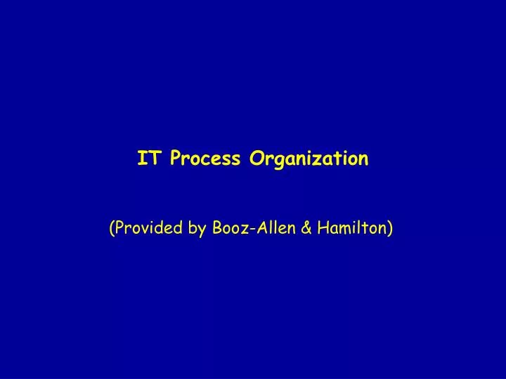 it process organization