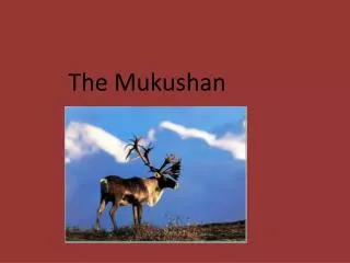 The Mukushan