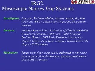 IRG2: Mesoscopic Narrow Gap Systems