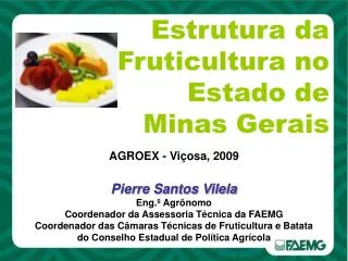 Estrutura da Fruticultura no Estado de Minas Gerais