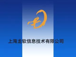 上海龙软信息技术有限公司
