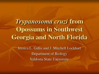 Trypanosoma cruzi from Opossums in Southwest Georgia and North Florida