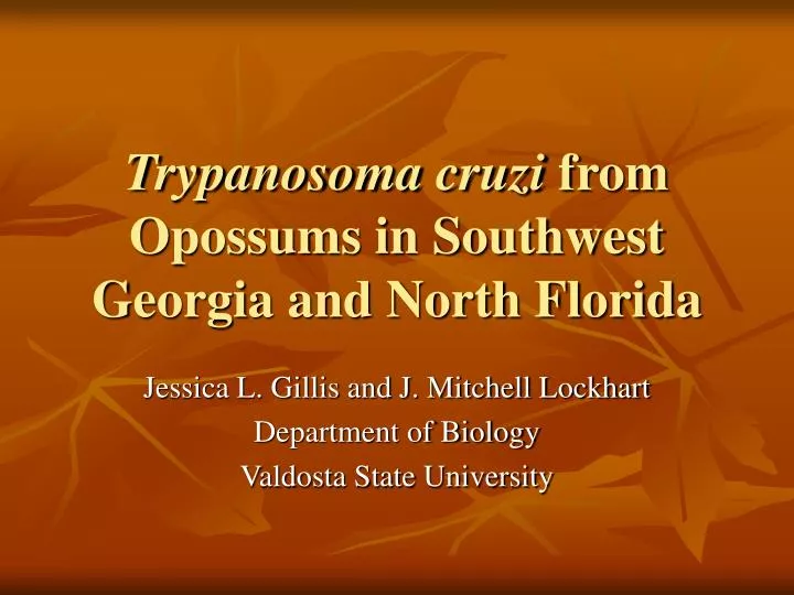 trypanosoma cruzi from opossums in southwest georgia and north florida