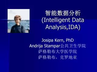 intelligent data analysis ida