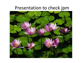 Presentation to check jpm