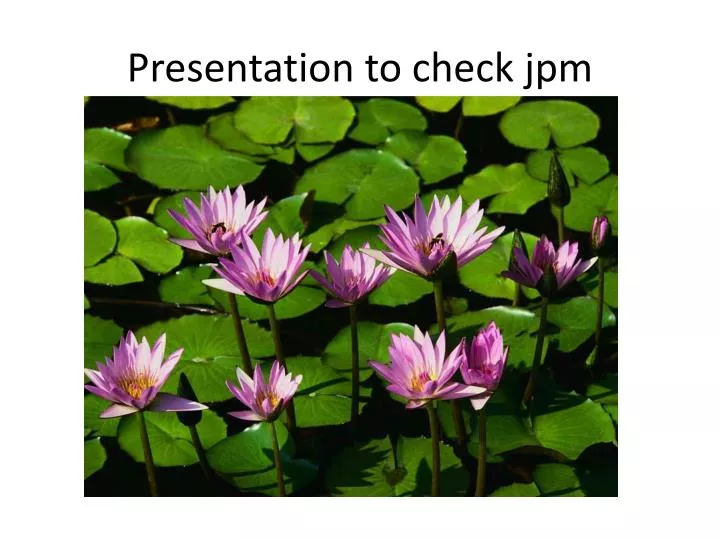presentation to check jpm