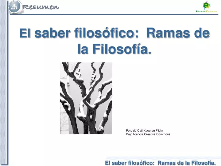 el saber filos fico ramas de la filosof a