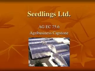 Seedlings Ltd.