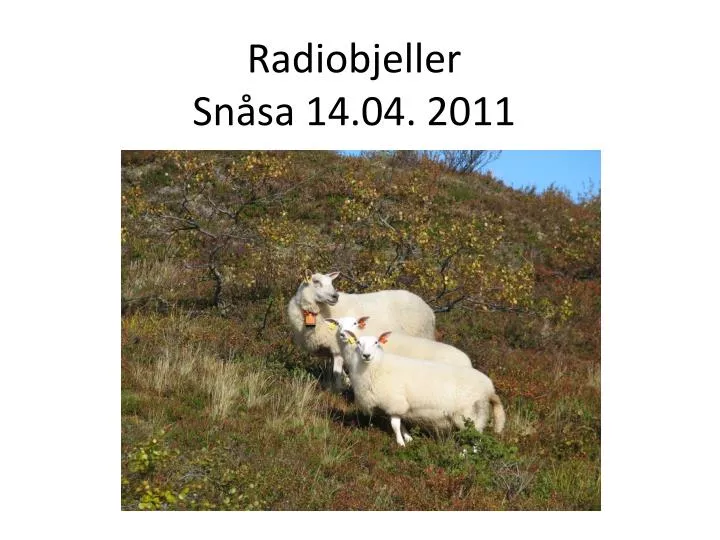 radiobjeller sn sa 14 04 2011