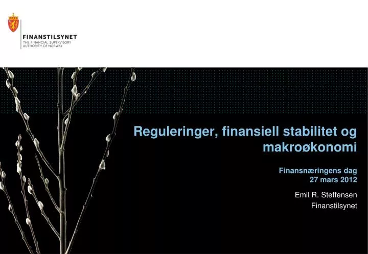 reguleringer finansiell stabilitet og makro konomi finansn ringens dag 27 mars 2012